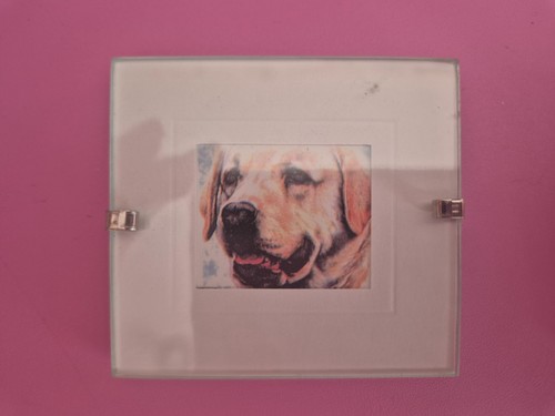 Sharon jervis miniture - sharon,