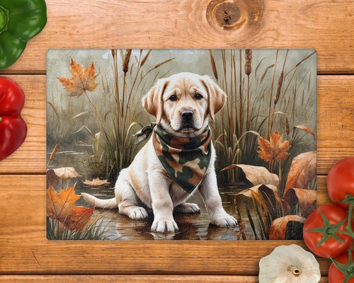 Labrador puppy lake and leaves - puppy,