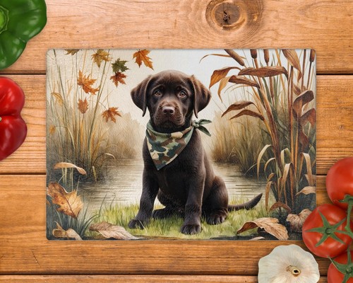 Labrador puppy lake - labrador,