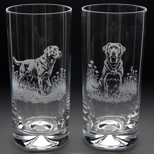 Labrador dog highball glass - labrador,