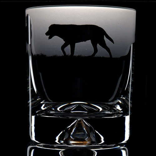 Labrador dog whiskey - labrador,