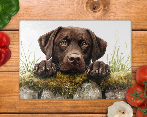 Labrador peeking glass - labrador,