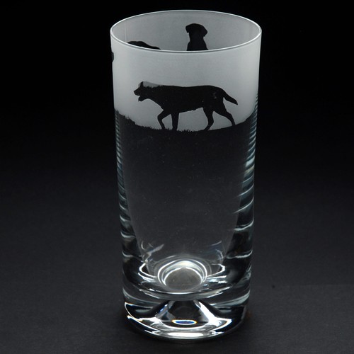 Labrador dog highball glass - highball,