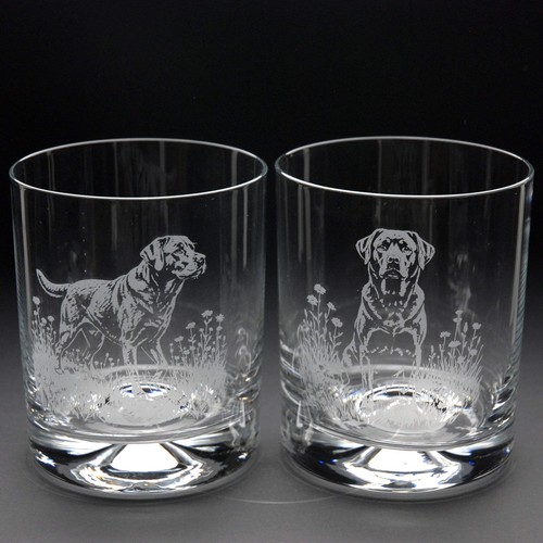 Labrador dog whiskey tumbler - labrador,