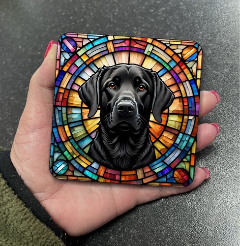 Stunning black labrador dog - stunning,