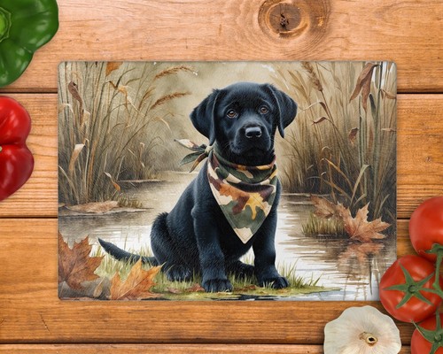 Labrador puppy lake - puppy,