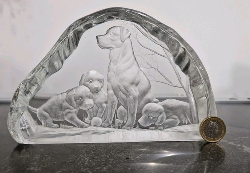 Glass labrador pups - glass, &