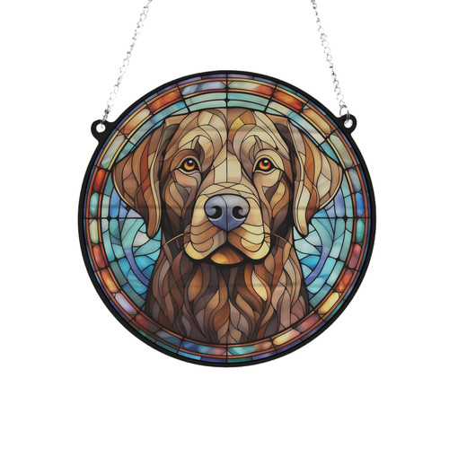 Labrador chocolate stained - labrador,