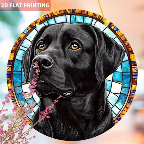 Black labrador with amber eyes - black,
