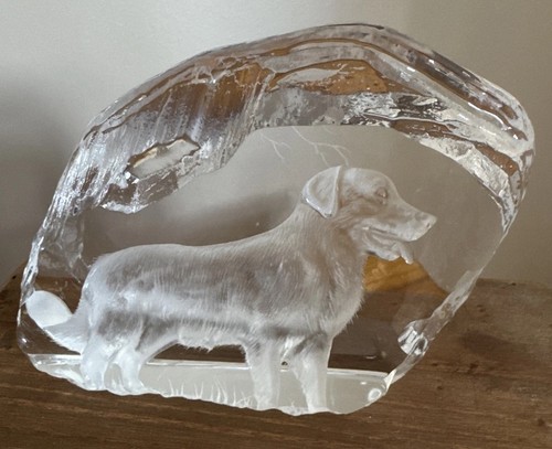 Dartington crystal capredoni - dartington,