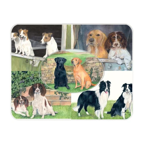 Dogs collie labrador multi - collie,,
