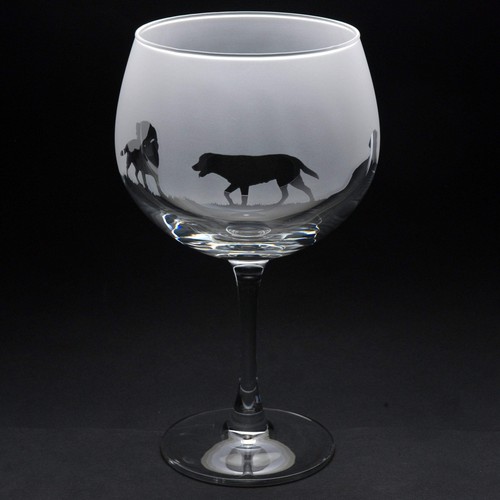 Labrador dog gin - dog,