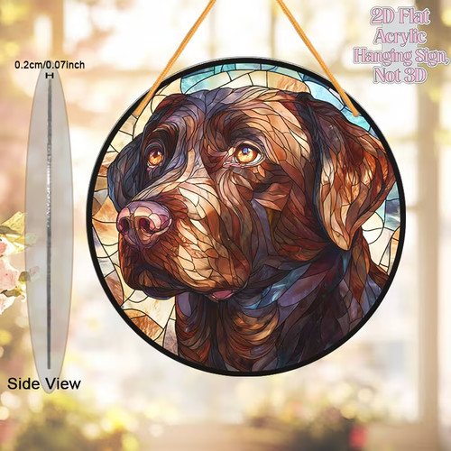 Chocolate labrador dog pet - labrador,
