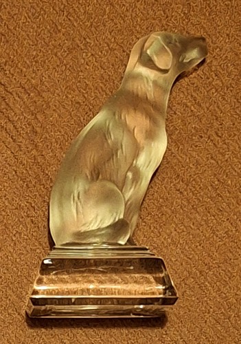 Vintage labrador retriever - vintage, in