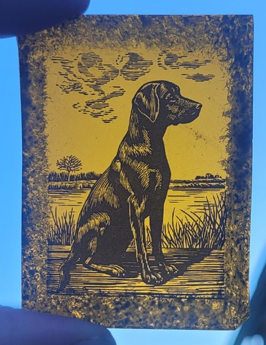 Stained glass black labrador - black,