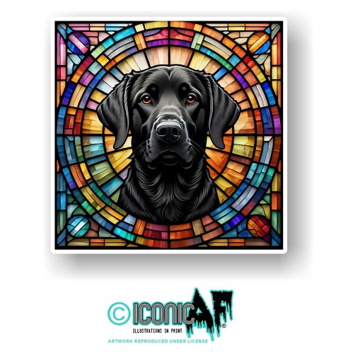 Large black labrador - black,