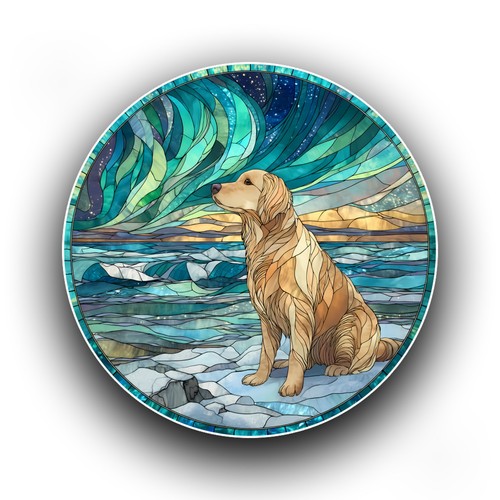 Labrador dog northern lights - dog,
